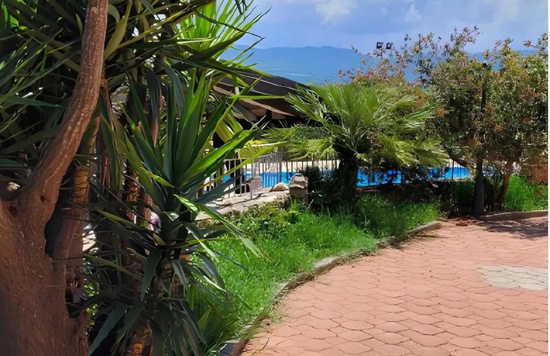 Uliveto Garden-1
